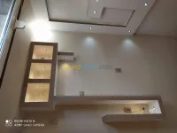 خدمات البلاكوبلاتر لوائح الجبسية 