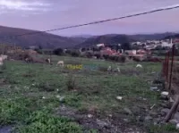 Vente Terrain Boumerdès Taourga