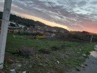 terrain-vente-boumerdes-taourga-algerie