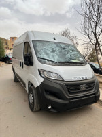 voitures-fiat-ducato-2024-tiaret-algerie