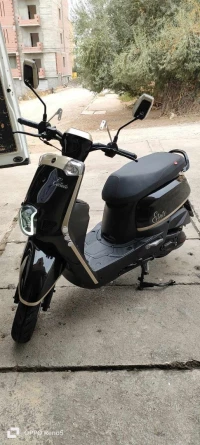 Vms VMS 2021