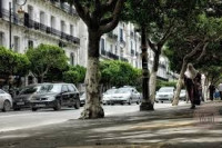 local-vente-alger-centre-algerie