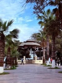 local-location-alger-centre-algerie