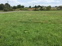 Cherche achat Terrain Alger Dar el beida