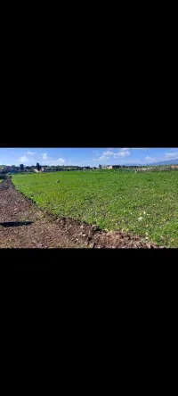 Vente Terrain Mila Mila