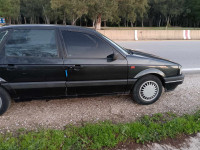 grande-berline-volkswagen-passat-1990-ain-el-assel-tarf-algerie