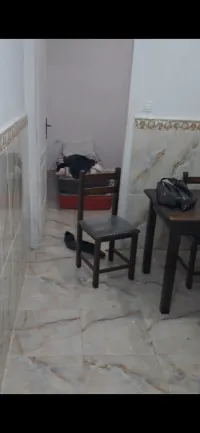 Vente Appartement Studio Alger Ain taya