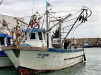 rigid-boats-jardinier-12-m-la-longueur-largeur-4-50-jijel-algeria