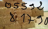 تبن خرطال 1200 بوطة