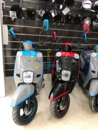 Estat Vms 2022