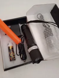 Torche led