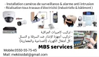 Caméra de surveillance et alarme anti intrusion 