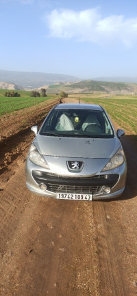 voitures-peugeot-207-2009-allure-oued-endja-mila-algerie