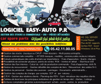 logiciels-abonnements-logiciel-easy-auto-pr-برنامج-خاص-بقطع-غيار-السيارات-version-starter-annaba-algerie