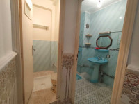 appartement-vente-f3-alger-les-eucalyptus-algerie