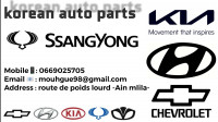 pieces-moteur-hyundai-h100-k2700-ain-mlila-oum-el-bouaghi-algerie