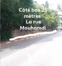 Vente Villa Alger El mouradia
