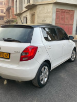 voitures-skoda-fabia-2013-fresh-kolea-tipaza-algerie