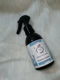 معطر السيارات Brume pour voiture