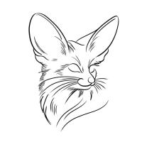مدارس-و-تكوين-seances-illustration-digitale-بجاية-الجزائر