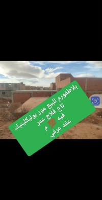 أرض-بيع-تلمسان-مغنية-الجزائر