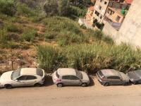terrain-vente-alger-saoula-algerie
