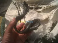 dechet en plastique 