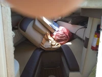 Vends Bateau sea ray 250