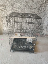 قفص ببغاء