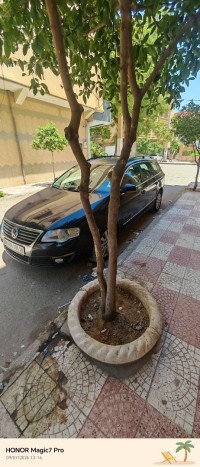 سيارات-volkswagen-passat-2006-مسيلة-المسيلة-الجزائر