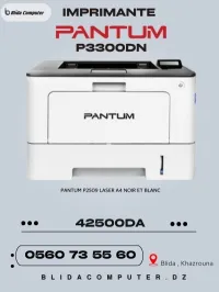 imprimante laser Pantum P3300DN 