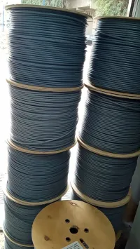 cable ftp cat06 cable réseaux u/ftp