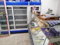 Frigo murale 