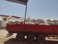 BigBag