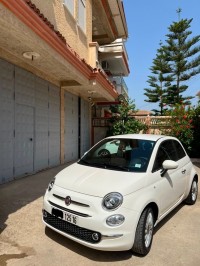 cars-fiat-500-2025-cult-mib-rouiba-alger-algeria