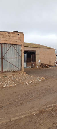 terrain-agricole-vente-medea-berrouaghia-algerie