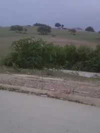 Vente Terrain Jijel Jijel