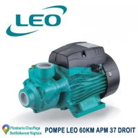 Pompe à eau et Cerveau LEO 