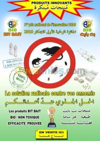 سيدي-بلعباس-الجزائر-خدمات-spcialite-3d-netoyage-ygiene