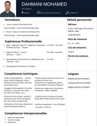 معلوماتية-و-أنترنت-informaticien-reseaux-systemes-embarquee-الرغاية-الجزائر