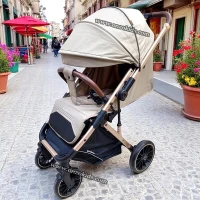 Poussette compacte valise réversible de luxe-Kidilo