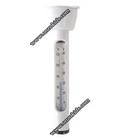 Thermomètre pour piscine Intex