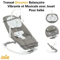 Transat Dreamer Balançoire Vibrante et Musicale avec Jouet pour bébé | Joie