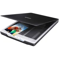 SCANNER EPSON PERFECTION V19