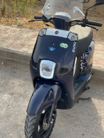 motos-et-scooters-vms-coxi-1-2023-algerie