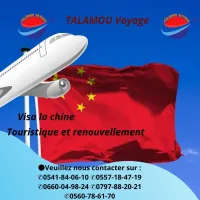 Visa china 