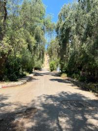 apartment-rent-f2-tipaza-douaouda-algeria