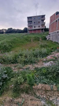 Vente Terrain Boumerdès Boudouaou