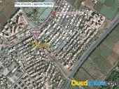 Location Local Alger Zeralda