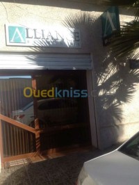 وهران-الجزائر-وسط-خدمات-assurances